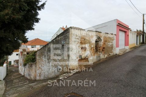 Villa a Chamusca, Santarem, Chamusca - € 25.000 | Ref: 9367 - foto 3