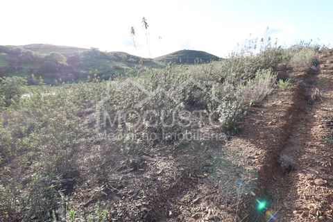 Helårsgrund i Castro Marim, Faro, Castro Marim - € 70.000 | Ref: 128 - foto 3