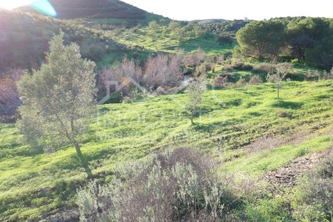 Helårsgrund i Castro Marim, Faro, Castro Marim - € 70.000 | Ref: 128 - foto 19