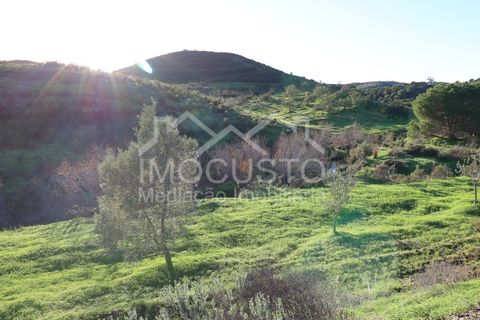 Helårsgrund i Castro Marim, Faro, Castro Marim - € 70.000 | Ref: 128 - foto 20