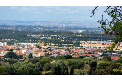 Helårsgrund i Quinta do Anjo, Setubal, Quinta do Anjo - € 245.000 | Ref: VSOL226 - foto 12