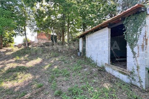 Villa en Venade e Azevedo, Viana do Castelo, Venade e Azevedo - € 225.000 | Ref: 2858 - photo 15