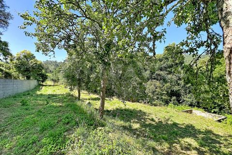 Villa en Venade e Azevedo, Viana do Castelo, Venade e Azevedo - € 225.000 | Ref: 2858 - photo 17