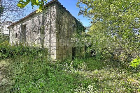 Villa en Venade e Azevedo, Viana do Castelo, Venade e Azevedo - € 170.000 | Ref: 2811 - photo 2
