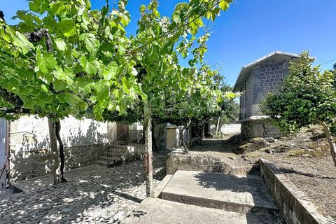 Villa en Venade e Azevedo, Viana do Castelo, Venade e Azevedo - € 265.000 | Ref: 2859 - photo 33
