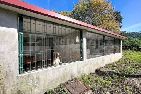 Villa i Caminha, Viana do Castelo, Caminha - € 500.000 | Ref: 2800 - foto 41