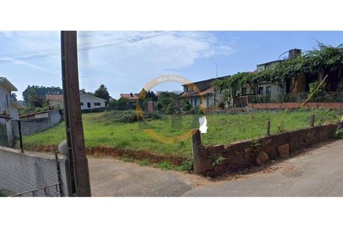 Terra a Cortegaca, Aveiro, Cortegaca - € 97.500 | Ref: T/0329 - foto 3