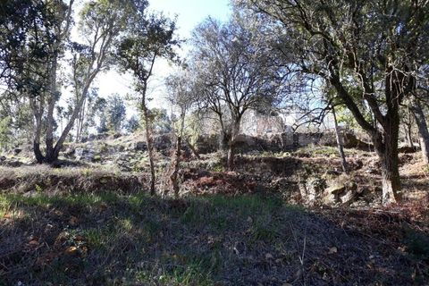 Villa en Venade e Azevedo, Viana do Castelo, Venade e Azevedo - € 81.500 | Ref: 1388 - photo 2