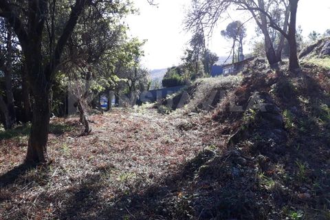 Villa en Venade e Azevedo, Viana do Castelo, Venade e Azevedo - € 81.500 | Ref: 1388 - photo 3