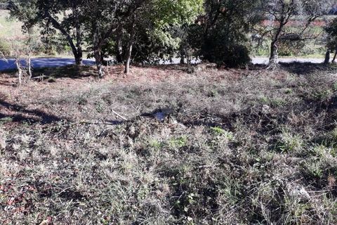 Villa en Venade e Azevedo, Viana do Castelo, Venade e Azevedo - € 81.500 | Ref: 1388 - photo 6