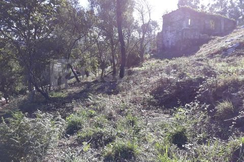 Villa en Venade e Azevedo, Viana do Castelo, Venade e Azevedo - € 81.500 | Ref: 1388 - photo 12