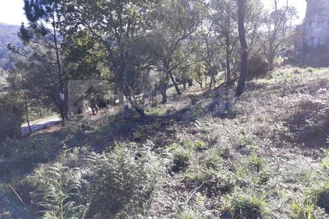 Villa en Venade e Azevedo, Viana do Castelo, Venade e Azevedo - € 81.500 | Ref: 1388 - photo 22