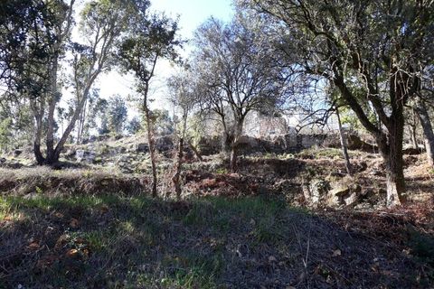 Villa en Venade e Azevedo, Viana do Castelo, Venade e Azevedo - € 81.500 | Ref: 1388 - photo 25