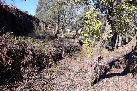 Villa en Venade e Azevedo, Viana do Castelo, Venade e Azevedo - € 81.500 | Ref: 1388 - photo 26