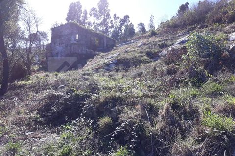 Villa en Venade e Azevedo, Viana do Castelo, Venade e Azevedo - € 81.500 | Ref: 1388 - photo 31