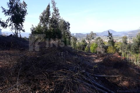 Grond in Venade e Azevedo, Viana do Castelo, Venade e Azevedo - € 115.000 | Ref: 1443 - foto 2