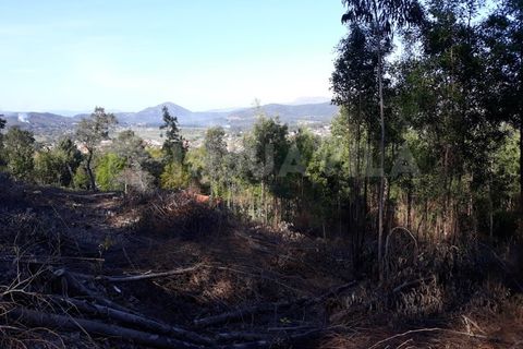 Grond in Venade e Azevedo, Viana do Castelo, Venade e Azevedo - € 115.000 | Ref: 1443 - foto 3