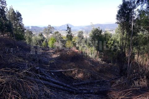 Grond in Venade e Azevedo, Viana do Castelo, Venade e Azevedo - € 115.000 | Ref: 1443 - foto 4