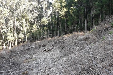 Grond in Venade e Azevedo, Viana do Castelo, Venade e Azevedo - € 115.000 | Ref: 1443 - foto 5