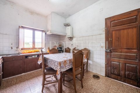 Farm i Odeceixe, Faro, Odeceixe - € 1.140.000 | Ref: MAS_653 - foto 20