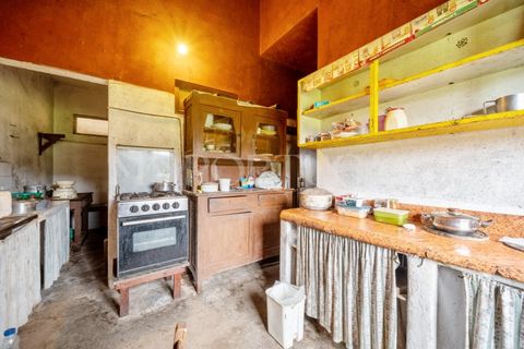 Farm i Odeceixe, Faro, Odeceixe - € 1.140.000 | Ref: MAS_653 - foto 23