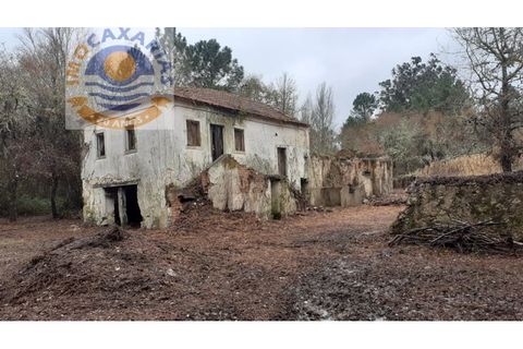 Gård i Gondemaria e Olival, Santarem, Gondemaria e Olival - € 100 000 | Ref: 2021003 - foto 3