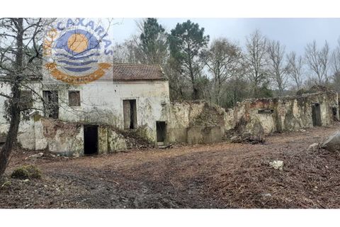 Gård i Gondemaria e Olival, Santarem, Gondemaria e Olival - € 100 000 | Ref: 2021003 - foto 4
