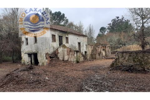 Gård i Gondemaria e Olival, Santarem, Gondemaria e Olival - € 100 000 | Ref: 2021003 - foto 7