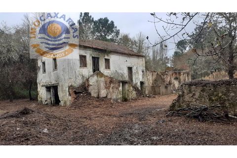 Gård i Gondemaria e Olival, Santarem, Gondemaria e Olival - € 100 000 | Ref: 2021003 - foto 8