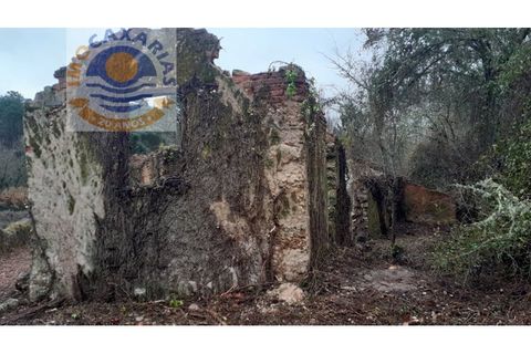 Gård i Gondemaria e Olival, Santarem, Gondemaria e Olival - € 100 000 | Ref: 2021003 - foto 9