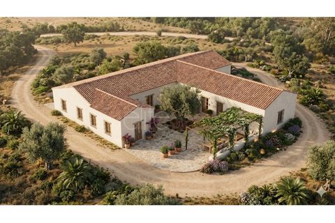Terra a Marmelete, Faro, Marmelete - € 1.200.000 | Ref: T030 - foto 3