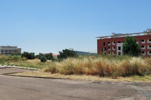 Helårsgrund i Elvas, Portalegre, Elvas - € 36.900 | Ref: PTG-A-33 (114) - foto 2