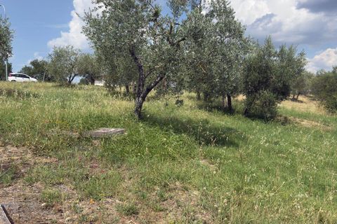 Terra a Panicale, Perugia, Panicale - € 35.000 | Ref: PN1810 - foto 2