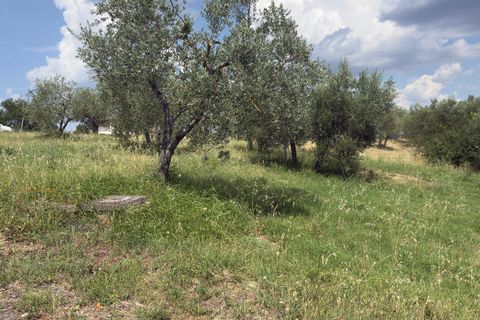 Terra a Panicale, Perugia, Panicale - € 35.000 | Ref: PN1810 - foto 3
