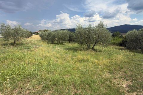 Terra a Panicale, Perugia, Panicale - € 35.000 | Ref: PN1810 - foto 4