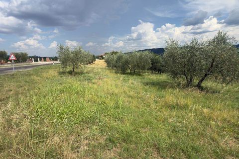 Terra a Panicale, Perugia, Panicale - € 35.000 | Ref: PN1810 - foto 5