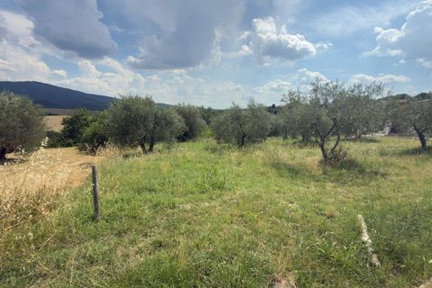Terra a Panicale, Perugia, Panicale - € 35.000 | Ref: PN1810 - foto 7