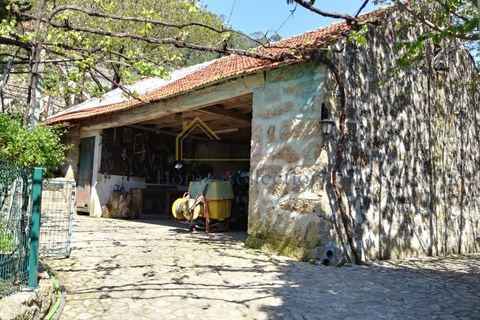Farm i Esposende, Braga, Esposende - € 560.000 | Ref: QLar - foto 10