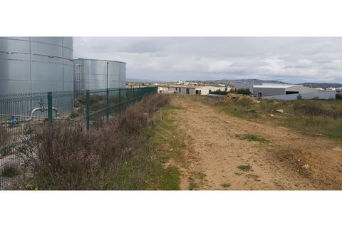 Erhvervsejendom i Algoz, Faro, Algoz - € 650.000 | Ref: 17/T/00294 - foto 2
