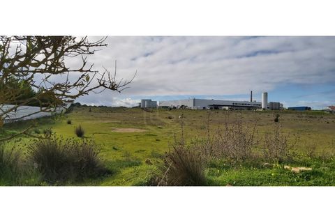 Erhvervsejendom i Algoz, Faro, Algoz - € 650.000 | Ref: 17/T/00294 - foto 3