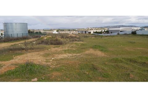 Erhvervsejendom i Algoz, Faro, Algoz - € 650.000 | Ref: 17/T/00294 - foto 4