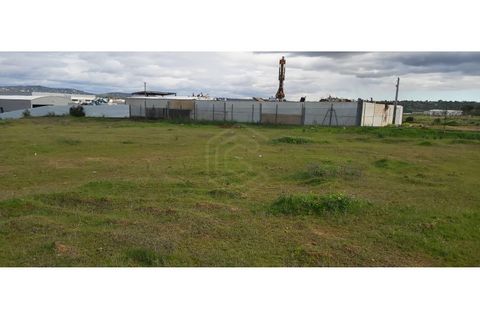 Erhvervsejendom i Algoz, Faro, Algoz - € 650.000 | Ref: 17/T/00294 - foto 6