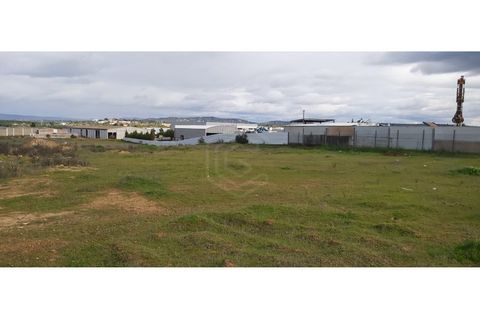 Erhvervsejendom i Algoz, Faro, Algoz - € 650.000 | Ref: 17/T/00294 - foto 7