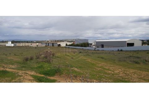 Erhvervsejendom i Algoz, Faro, Algoz - € 650.000 | Ref: 17/T/00294 - foto 8