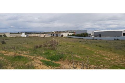 Erhvervsejendom i Algoz, Faro, Algoz - € 650.000 | Ref: 17/T/00294 - foto 9