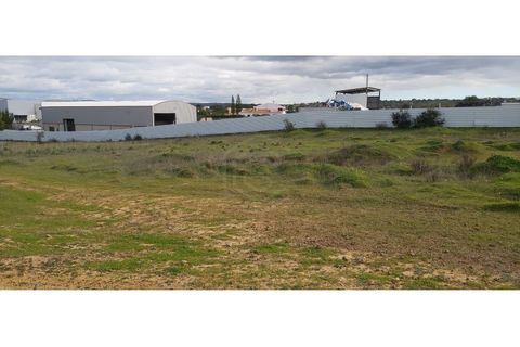 Erhvervsejendom i Algoz, Faro, Algoz - € 650.000 | Ref: 17/T/00294 - foto 10