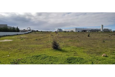 Erhvervsejendom i Algoz, Faro, Algoz - € 650.000 | Ref: 17/T/00294 - foto 11
