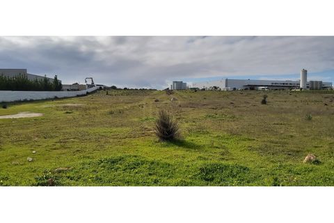 Erhvervsejendom i Algoz, Faro, Algoz - € 650.000 | Ref: 17/T/00294 - foto 12