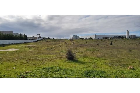 Erhvervsejendom i Algoz, Faro, Algoz - € 650.000 | Ref: 17/T/00294 - foto 13