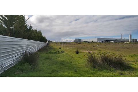 Erhvervsejendom i Algoz, Faro, Algoz - € 650.000 | Ref: 17/T/00294 - foto 15